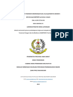 Laporan Pemeliharaan Semangka Amara f1