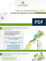 Exposé Strategie Incendies de Forets Maroc