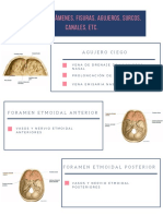 Forámenes, Fisuras, Agujeros, Surcos, Canales, Etc., Del Cráneo