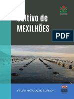 4 - Livro-Maricultura-Mexilhao-Gestao-Sistema-De-Cultivo-Semente-Engorda-Risco