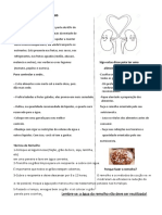 Dicas Paciente DRC Conservador e Dialitico