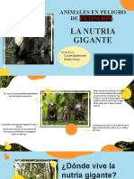 La Nutria Gigante - en Peligro de Extinción 5to