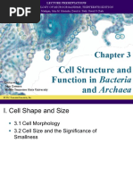 Microbial Structure