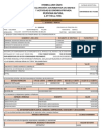 Formulario Único Declaración Juramentada de Bienes Y Actividad Económica Privada Persona Natural (LEY 190 de 1995)