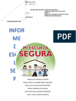 Informe de Escuela Segura