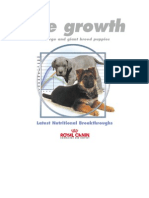 The Growth of Giant and Large Breed Puppies