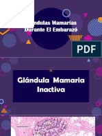 Histiologia Glandula Mamaria