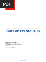 Informe Procesos Cav