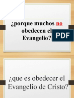 Porque Muchos No Obedecen El Evangelio