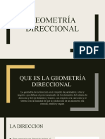 Geometria Direccional