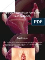 Aparato Reproductor Femenino