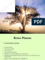 Reino Plantae