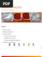 Ejemplo Informe Cualitativo