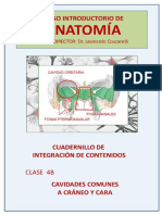 Cuadernillo 4b Cavidades Comunes Craneo y Cara PDF