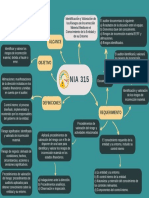 Mapa Mental NIA 315