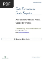 Tema 1 (q9) El Derecho Del Trabajo