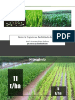 Matéria Orgânica e Fertilidade Do Solo