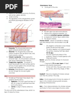 Chapter 5 Anatomy and Physiology