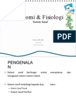 PowerPointAnatomiFisiologiSistemSaraf 090224201540 Phpapp02