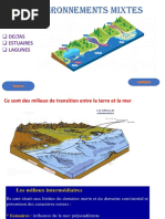 Les Environnements Mixtes - Marins l3 Présentation