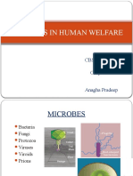 Microbes in Human Welfare