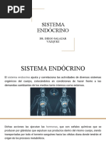 Sistema Endócrino