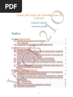 Notas Introduccion Al Calculo