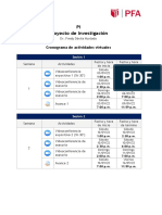 Cronograma de Actividades PI