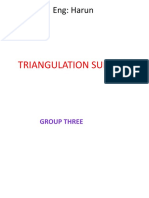 Triangulation Surveys