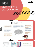 Niveles de La Comunicacion