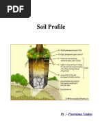 Soil Profile by Poornima Nadun