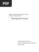 Actividad de Percepción Visual