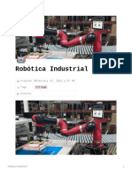 Robtica Industrial II