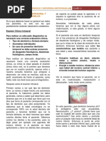 Clase 11 - Examen Clínico Intraoral y Análisis de Modelos