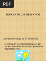 Energia Celular Examen