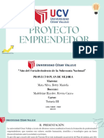 Proyecto Emprendedor