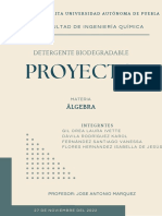 Proyecto Álgebra