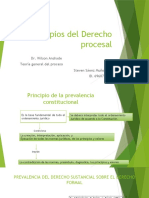 Presentación Principios Procesales