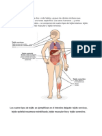 Sistemas Del Cuerpo Humano