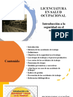 Salud Ocupacional PDF