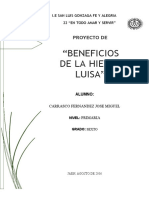 Idoc - Pub Proyecto de Investigacion Hierba Luisa