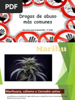 Drogas de Abuso Más Comunes. Marihuana