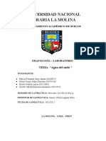 Informe 6