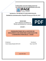 MEMOIRE Assurance Agricole