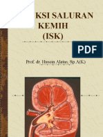 Presentasi Infeksi Saluran Kemih (Isk)