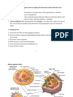 Biology Vocabulary