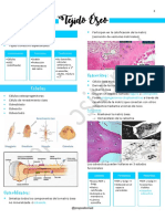 UNIDAD 8 - Tejido Óseo