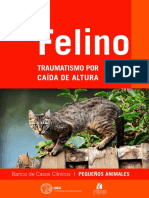 Caso Felino 3 Traumatismo Caida Digital