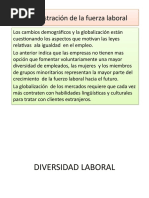 Diversidad Laboral