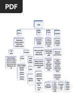 Cuello Mapa Conceptual